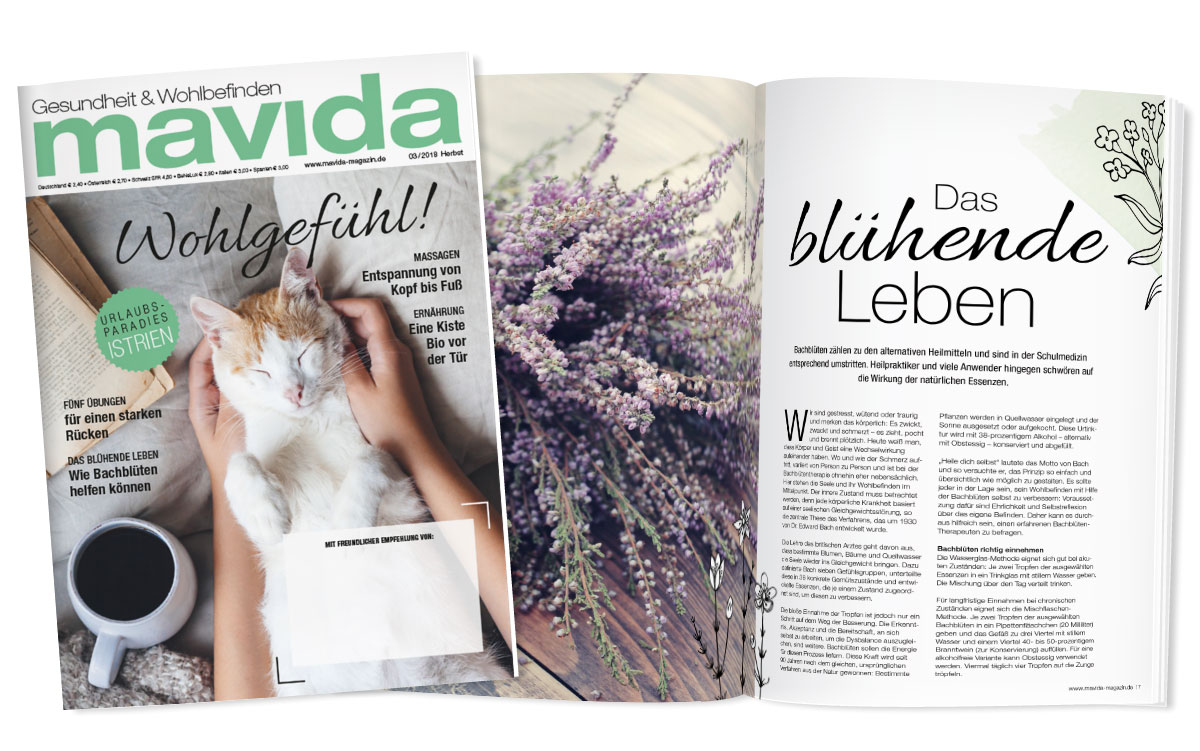 mavida_teaser-d